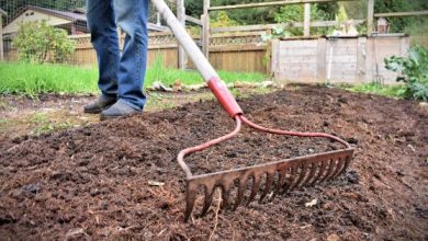 Why Is Soil Preparation Essential for Successful Landscaping Projects?